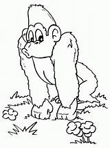 Gorilla Scimmie Disegni Aap Mewarnai Ausmalbilder Affe Malvorlagen Monyet Chimpanzee Apen Grote Colorare 2826 Singe Gorila Animasi Immagini Animierte Bambini sketch template