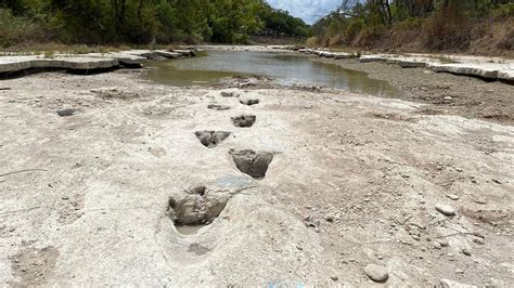 dinosaur tracks   million years  uncovered due  severe