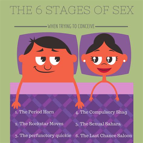 the six stages of sex when trying to conceive — the preggers kitchen