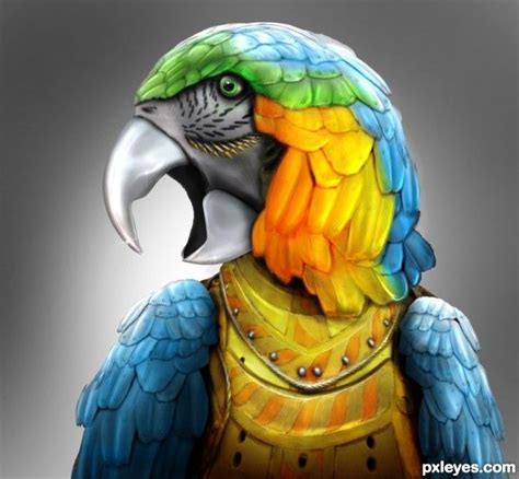 parrot photoshop pics parrot photoshop