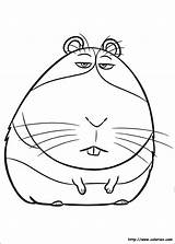Norman Colorir Hamster Coloriage Ausmalbilder Dibujar Snowball Websincloud Betes Secreta Coloriez Bêtes Secreto Imprimir Ton sketch template