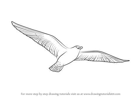 draw  flying bird birds step  step drawingtutorialscom