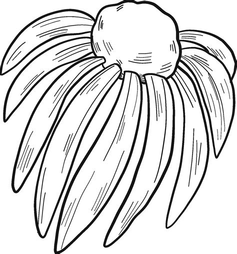 wildflowers coloring page colouringpages