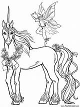 Unicorn Coloring Realistic Pages Print Kids Color sketch template