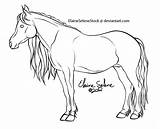 Coloring Horse Pages Breyer Animal Comments Head sketch template