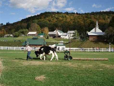 there s nothing better than this epic fair in vermont