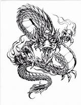Tato Naga Keren Evil Sketsa Tatto Celtic Muster Informasi Terkini Tattooviral Dragoon sketch template