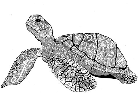 mandala cool turtle coloring page  print
