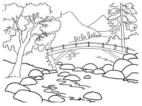 summer park coloring page coloring book