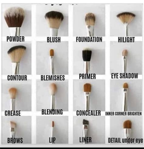 makeup brushes makeup brush uses makeup brushes guide skin makeup