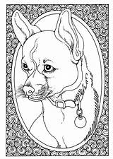 Kleurplaat Hond Ritratto Retrato Kleurplaten Portret Cani Hundeportrait Malvorlage Printen Chihuahua Stampare Schoolplaten Educolor Herunterladen Edupics sketch template