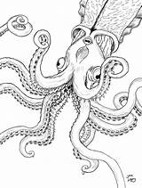 Kraken Cryptozoology Sheets Octopus sketch template