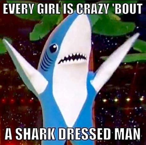 zz shark funny pictures left shark shark meme