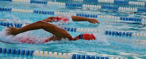 swimming records fall at ciasa nationals cayman compass