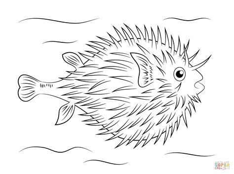 puffer fish coloring page  printable coloring pages