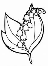 Lily Valley Coloring Pages Flowers sketch template