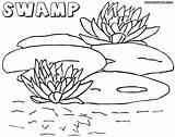 Swamp Designlooter Colorings sketch template