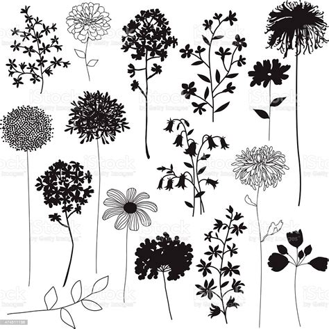 Flower Silhouettes Stock Illustration Download Image Now