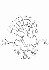 Coloring Pages Turkey Wild Print Popular Library Kids Color sketch template
