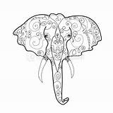 Elephant Head Coloring Getdrawings sketch template