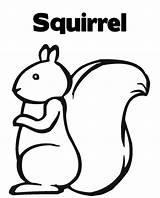 Squirrel Coloring Kids Pages Print Printable Cartoon Clipart Easy Simple Cliparts Color Outline Prints Advertisement Dog Presentations Projects Library sketch template