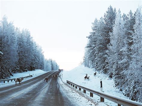 einmal zum polarkreis und zurueck finnland roadtrip im winter