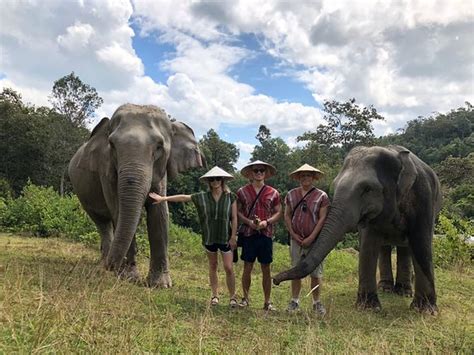 Elephant Nature Park Chiang Mai 2019 Everything You Need To Know