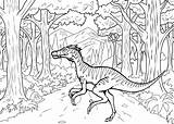 Velociraptor Coloring Pages Printable Kids sketch template