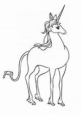 Unicorn Einhorn Unicorni Stampare Ausmalbild Scribblefun Malvorlagen Fliegendes Letzte Seite sketch template