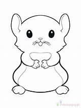 Hamster Chomik Kolorowanki Dzieci Kleurplaten Hamsters Kleurplaat Wydruku Manatee sketch template
