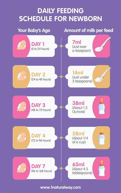 breastfeeding timeline    expect  natural