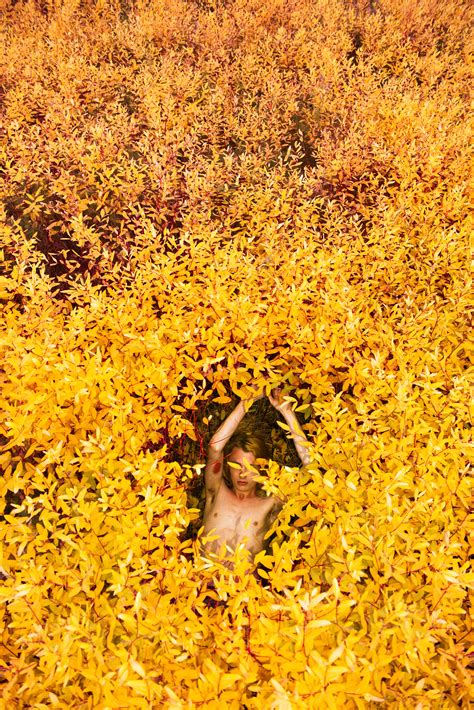 ryan mcginley