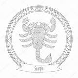 Scorpio Zodiac Coloring Pages Horoscope Symbol Stock Vector sketch template