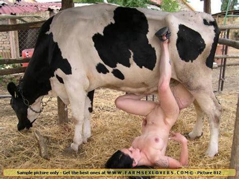 cow with women sex pic free pics and galleries