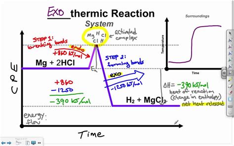 endothermic  exothermic reactions youtube
