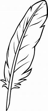 Feather Plume Quill Plumas Feder Pluma Federn Plantilla Malvorlagen Tatouage Zeichnen Mit Coloori Plumes Paintingvalley Ink Dessiner Oiseau Indien Pintadas sketch template