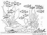Coloring Pages Ocean Underwater Kids Floor Realistic Drawing Sea Color Print Printable Plankton Fish Clipart Sheet Habitat Library Cliparts Ruth sketch template