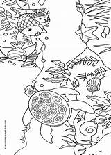 Coloring Fish Pages Animal Color Printable Turtle Sheets Kids Found sketch template