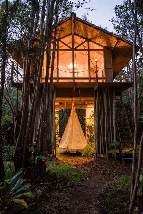 Explore A Tiny Tropical Treehouse In Hawaii Plantas Da Casa Da árvore
