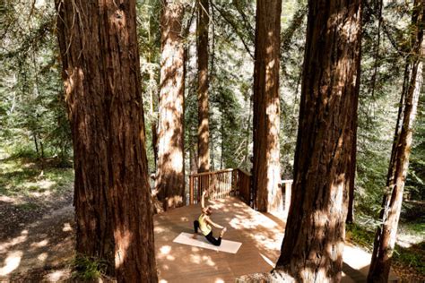 canyon ranch woodside offers  retreat experiences travel  wellness