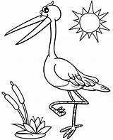 Bocian Stork Kolorowanki Kolorowanka Druku Malowanka Dzieci Wydruku Topcoloringpages Bociek Darmowa Kolorowankę Wydrukuj sketch template