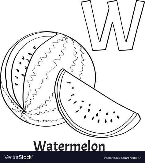 alphabet letter  coloring page watermelon vector image
