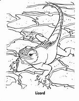 Coloring Reptile Pages Lizard Lizards Color Print Kids Animals Popular sketch template
