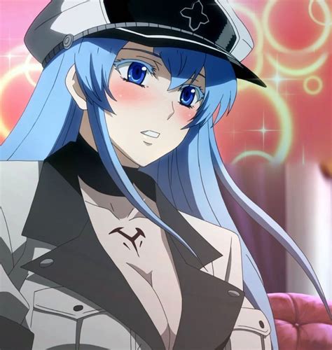 akame ga kill esdeath or esdese 12 esdeath esdese akame ga kill hentai pictures pictures