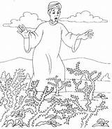 Parable Sower Thorns Parables Sembrador Semeador Choked Sementes Espinhos Colorear Sementinhas Christian Biblia sketch template
