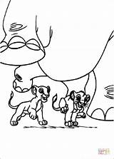 Coloring Pages Simba Nala Hippo Under Printable sketch template
