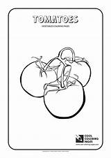 Coloring Tomatoes Pages Cool Vegetables Plants Onion Green sketch template
