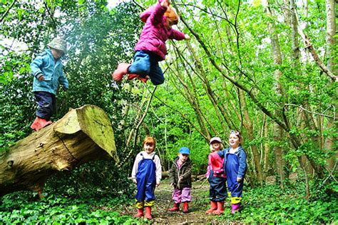 reflections day nursery and forest school dukes education