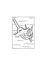Sawfish Coloring Animals Color sketch template