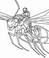 Ant Colorear Vespa Formiga Avispas Vola Desenho Avispa Sopra Disegno Stampare Voa Vuela Animale Pym Cartonionline Flies Wasps Who sketch template